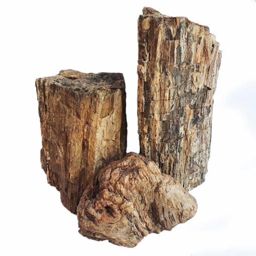 Petrified Wood (Stone)