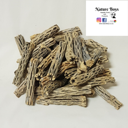 Nature Boys Cholla Wood
