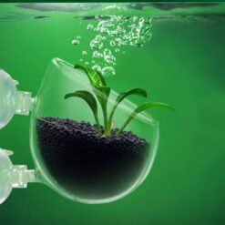 Aquarium Glass Plant Cup 2