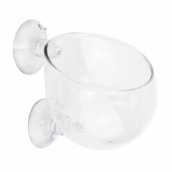 Aquarium Glass Plant Cup