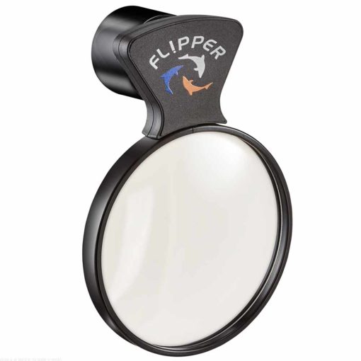 Flipper - DeepSee Magnified Viewer