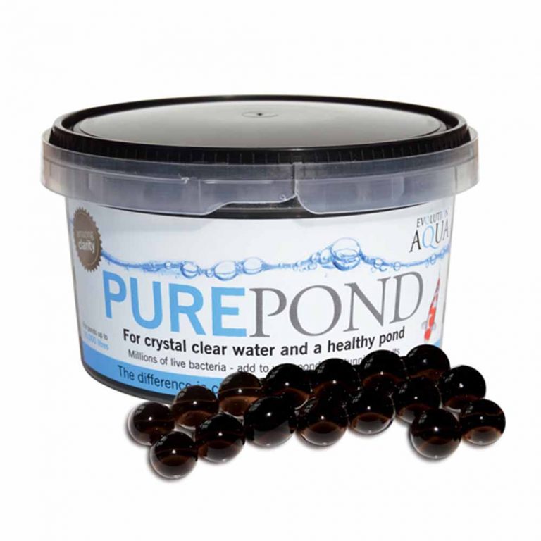 Evolution Aqua Pure Pond Bacteria Balls McMerwe Cape Town South