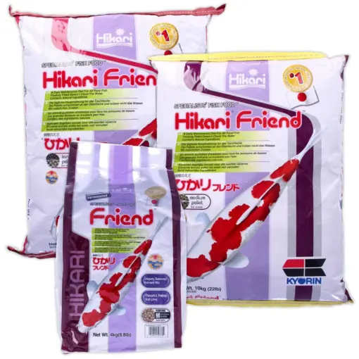 Hikari Friend Hikari Friend