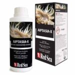 Red Sea Aiptasia X
