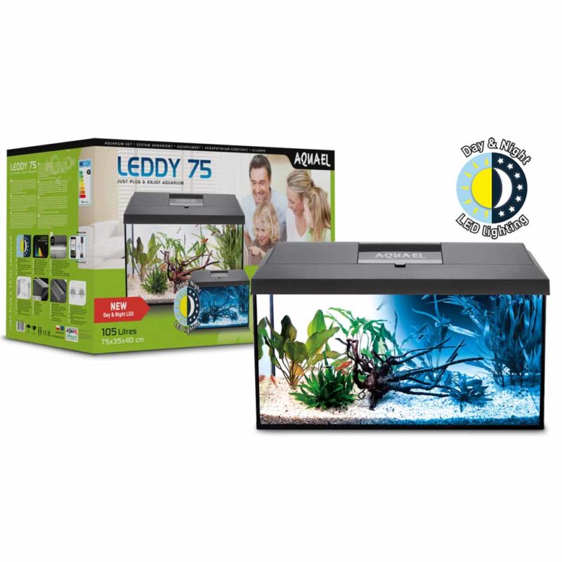 Daro Fish Tank McMerwe Cape Town South Africa