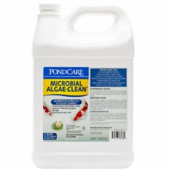 API - Microbial Algae Clean 3.78L