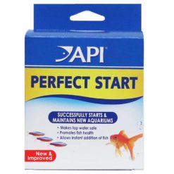 API - Perfect Start