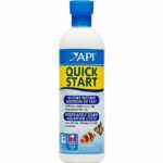 API Quick Start