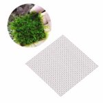 Stainless Steel Moss Wire Mesh Net (10pc)