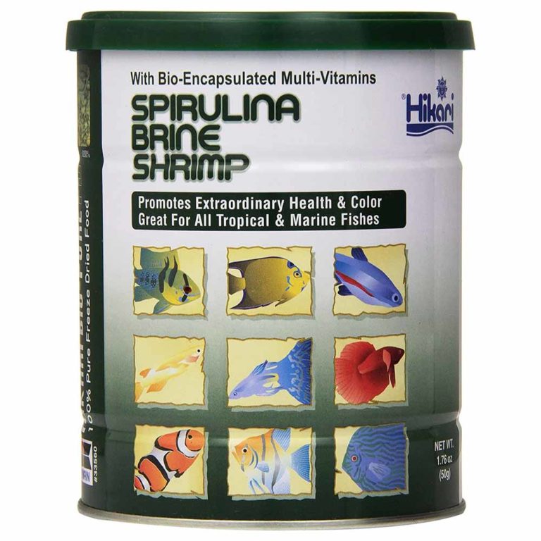 Hikari Freeze Dried Spirulina Brine Shrimp Cape Town