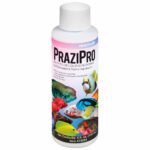Hikari PraziPro
