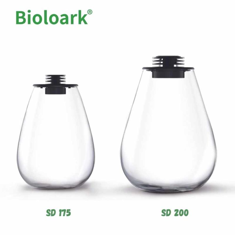 Bioloark Bio Bottle Terrarium McMerwe Cape Town South Africa