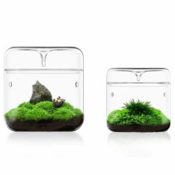 Bioloark - Drip Jar Terrarium