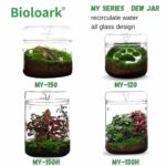 Bioloark Drip Jar Terrarium - Image 3