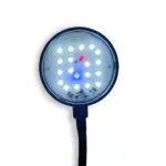 Daro Mini Clip Lamp