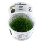 Tropica Riccia fluitans