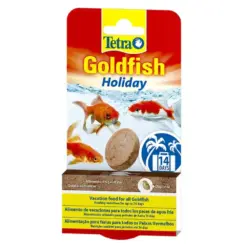 Tetra Goldfish Holiday