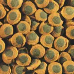 Tetra Pleco Spirulina Wafers Fish Food