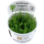 Tropica Myriophyllum Guyana