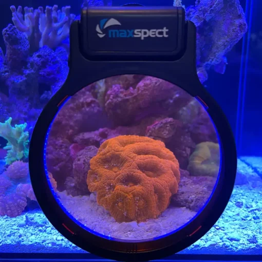 Maxspect Filter Lens 2