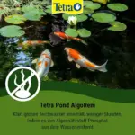 Tetrapond AlgoRem