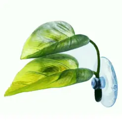 Betta Leaf Bed or Hammock