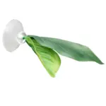 Betta Leaf Bed or Hammock