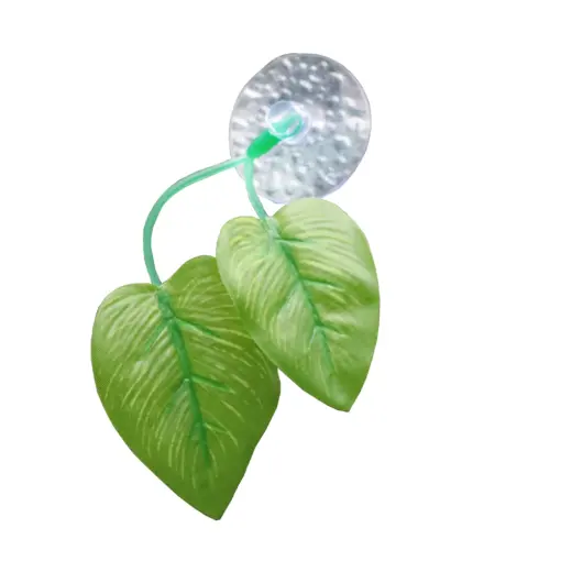 Betta Leaf Bed or Hammock Betta Leaf Bed or Hammock