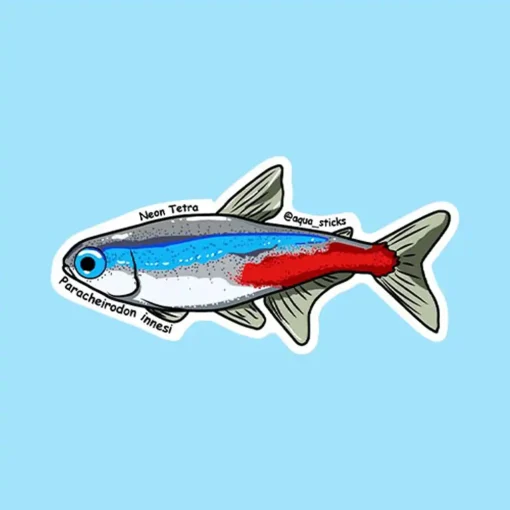 Neon Tetra