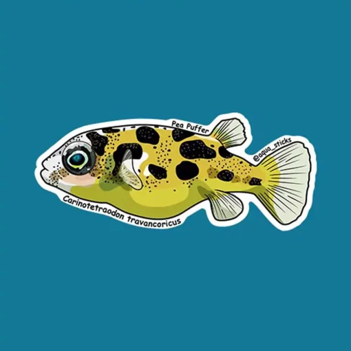 Pea Puffer