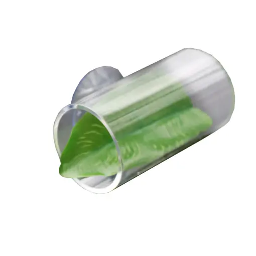 Betta Leaf Bed or Hammock Betta Leaf Bed or Hammock