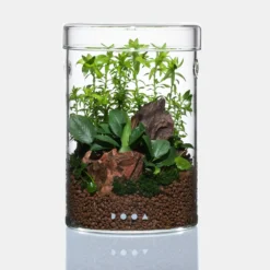 DOOA Glass Pot Maru 95 Planted