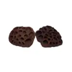 Deverose Lotus Pods