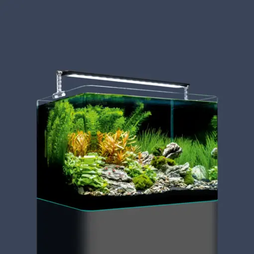 Dennerle Nano Scapers Tank