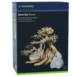 Dennerle Bonsai Decor Box