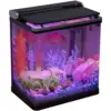 Hygger Curve Mini Aquarium Kit