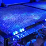 Red Sea Jump Net Cover