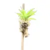 Mini Orchid Tolumnia Purple Dalmation
