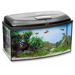 AquaEl Classic Box Aquarium