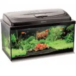 AquaEl Classic Box Aquarium