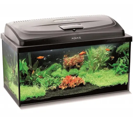 AquaEl Classic Box Aquarium AquaEl Classic Box Aquarium