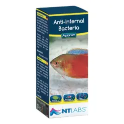 NT Labs Anti Internal Bacteria
