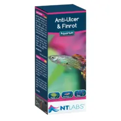 NT Labs Anti Ulcer and Finrot