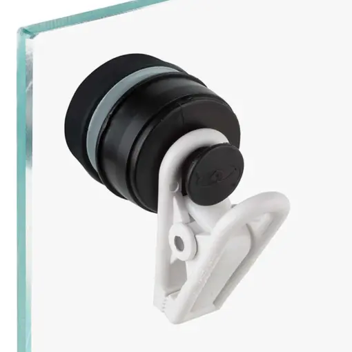 Two Little Fishies VeggieMag