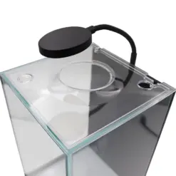 Desktop Terrarium with LED