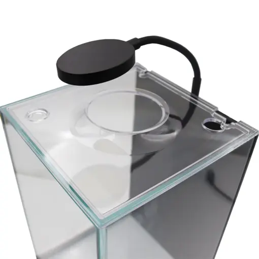 Desktop Terrarium with LED