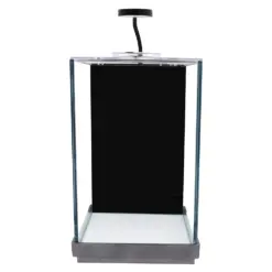 Desktop Terrarium with LED