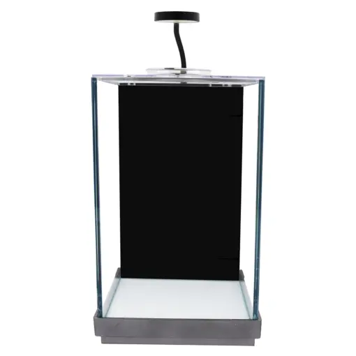 Desktop Terrarium with LED