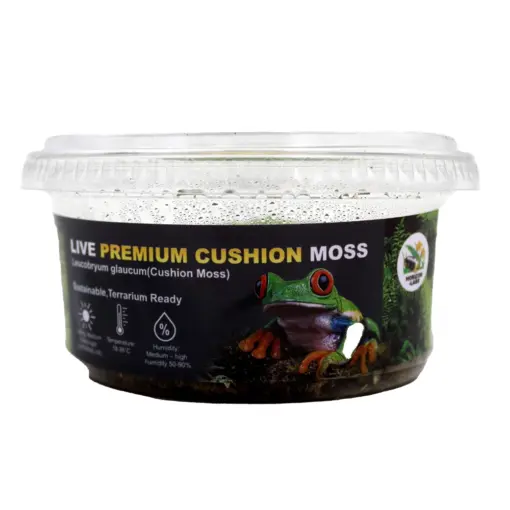 New Horizon Live Cushion Moss